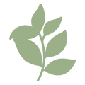 Icon-3.png